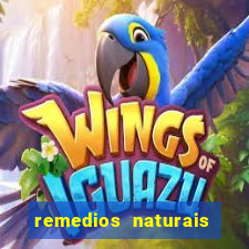 remedios naturais para diabetes